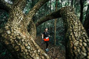 BIB: 
                            <button type="button" onclick="openModal(25394298)" class="btn btn-primary btn-sm float-right btn-popup" data-toggle="modal" data-target=".modal-high-quality">
                        <i class="fas fa-shopping-cart"></i> Add to Cart
                    </button>
                                            <button type="button" onclick="isThisMe(25394298, true)" class="btn btn-success btn-sm float-right btn-popup btn-isme hidden" data-toggle="tooltip" data-placement="bottom" title="นี่คือรูปของคุณใช่ไหม คลิกที่นี่เพื่อเอาเข้าอัลบั้ม">
                        <i class="fas fa-plus"></i> Add to album
                    </button>
                    <button type="button" onclick="isThisMe(25394298, false)" class="btn btn-warning btn-sm float-right btn-popup btn-isnotme hidden">
                        <i class="fas fa-ban"></i> Remove from album
                    </button>